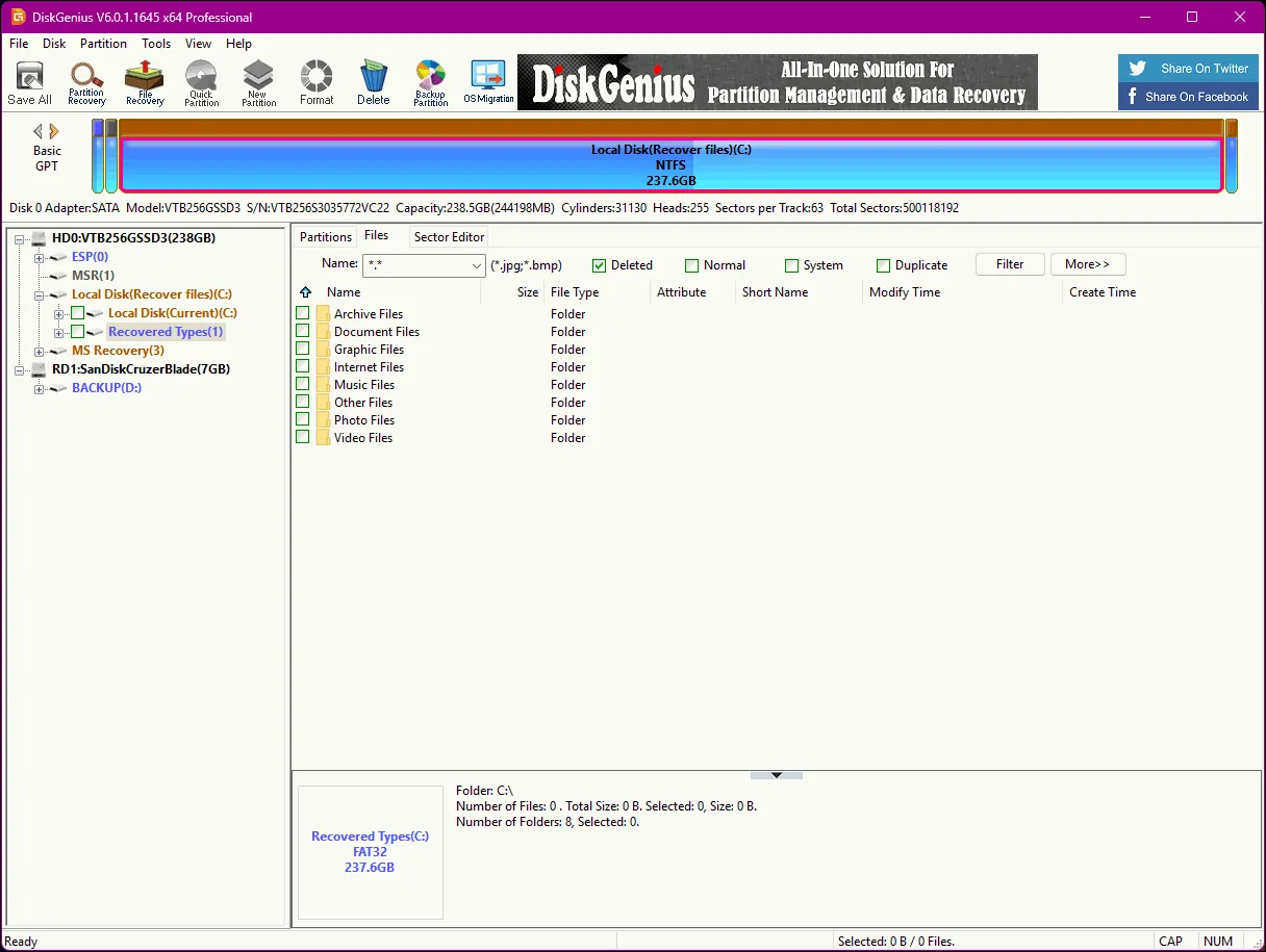DiskGenius showing discovered files DiskGenius
