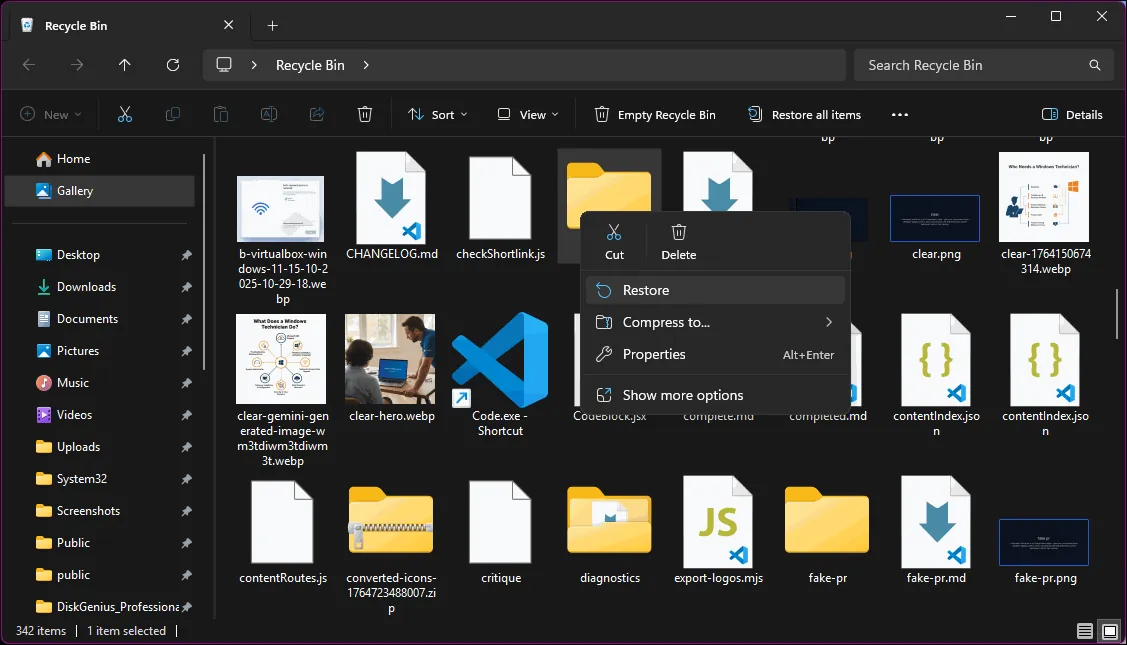 Restoring from the recycle bin Recycle bin